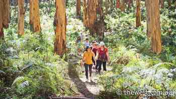 Spell of wellness done very well amid the forest - The West Australian