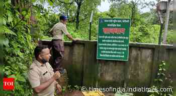 Thane: Warning board installed by forest department after four youngsters drowned - Times of India