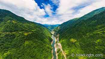 Official: 'Returning Farmland to Forests Initiative' brings 70% forest coverage to Chengkou - CGTN