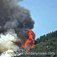 Forest fires break out as Turkey experiences hottest days - Hurriyet Daily News