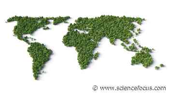 Top 10: countries with increasing forest areas - BBC Science Focus Magazine