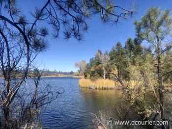 Prescott National Forest still closed but some lakes, forest roads remain accessible - Prescott Daily Courier