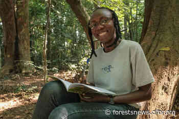 Planting the seed: Overhauling forest education for a sustainable future - CIFOR Forests News - Forests News, Center for International Forestry Research