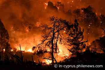 Red alert for causing forest fires | in-cyprus.com - in-cyprus