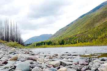 Flathead forest plan ruling favors environmental groups - Daily Inter Lake