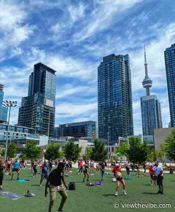 Everyone is Working Out at This Toronto Park - viewthevibe.com