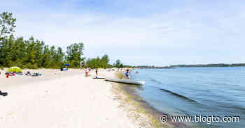 This beach is where to go in Toronto for a secluded day by the water - blogTO