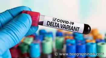Covid: Study shows Delta strain is a threat even after vaccination - Telegraph India