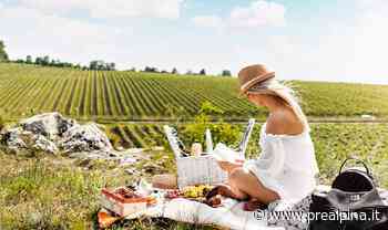 Il sole, un prato e un cestino - La Prealpina