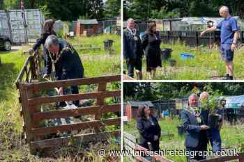 Mayor plants ‘Soldier Boy’ rose bush as he opens new Veteran’s Allotment
