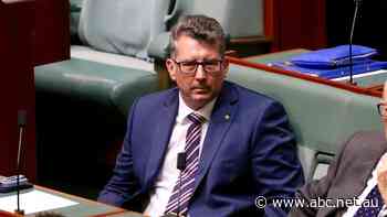 Pitt disappointed with Cabinet dumping but denies tension with Joyce