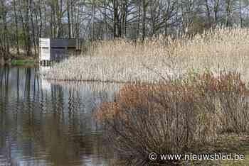 Fluxys plant veiligheidswerken in Kommiezenheide Postel