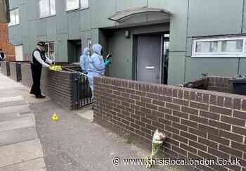 Flowers laid at scene of fatal Sydenham stabbing