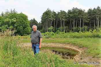 Gemeentebossen Essen krijgen klimaatbewust beheer (Essen) - Gazet van Antwerpen Mobile - Gazet van Antwerpen