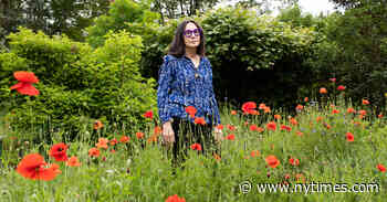 ‘I’m Easily Bored by Books,’ Says Writer of 22 Novels