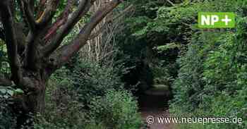 Hemmingen: Sperrung des Wanderwegs in Arnum - Neue Presse