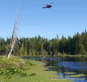 UPDATED: Aerial crews beat down small wildfire in Roberts Creek - Coast Reporter
