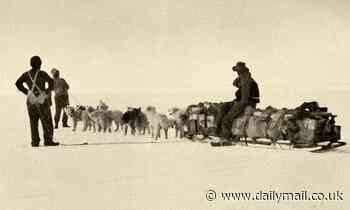 Century-old dog biscuit suggests pups on early British Antarctic expeditions were underfed