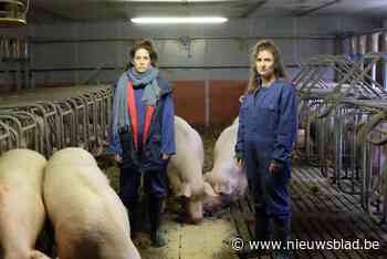 Speel mee met professionele actrices op de boerderij