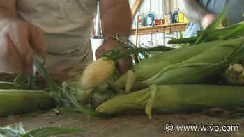 Sweet corn ice cream to be offered at Eden Corn Festival