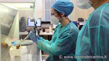 Variante Delta: a Fermo ricoverati due contagiati - il Resto del Carlino