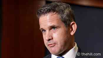 Kinzinger on Trump event: 'Rally of a loser president'