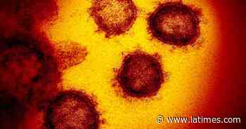 Delta coronavirus variant spreading fast in California - Los Angeles Times