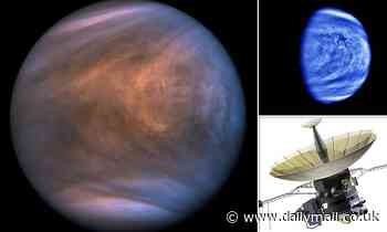 Hopes of finding life on Venus are DASHED as clouds don't contain enough water to sustain aliens