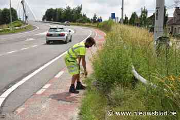 Nieuwe kanaalbrug in Massenhoven is open, gedaan met omrijden via Viersel