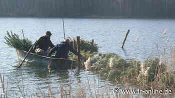 Wasser in der Lausitz : Unerklärliche Wasserverluste im Pinnower See bei Guben - Lausitzer Rundschau