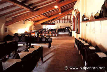 Balsamico, 55° Palio: un'acetaia di Soliera e una di Nonantola tra i finalisti - SulPanaro