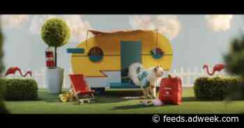 DoorDash and PetSmart Deliver New Partnership With Playful Ad Featuring Bubba Wallace