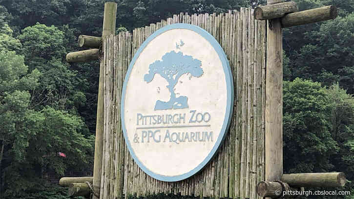 Wristbands Available For Somerset County’s Annual Pittsburgh Zoo Trip