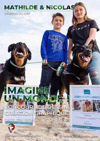 Ces enfants antibois organisent un concours de dessin en faveur du bien-être animal