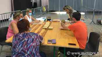 Canton de Frontignan : des bulletins d'un candidat de Mauguio à la place de ceux de Prato - Midi Libre