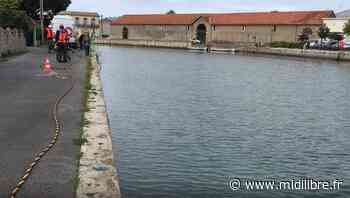 Canal de Frontignan : pour le préfet, les sédiments ne sont pas en cause pour les mauvaises odeurs - Midi Libre