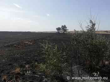 Bari, incendio a Santeramo in Colle: in fumo decine di ettari di grano già pronto per la trebbiatura [FOTO] - MeteoWeb