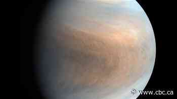 Study nixes life in the clouds of Venus, but maybe Jupiter?