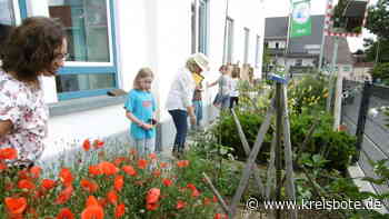 Garten der Vielfalt in der Montessori-Schule Inning - Kreisbote