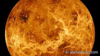 Study nixes life in clouds of Venus, but maybe in Jupiter's?