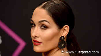 Nikki Bella Apologizes for What She Said About Chyna