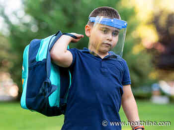 Plastic Shields Don't Stop Aerosol Transmission of Coronavirus - Healthline