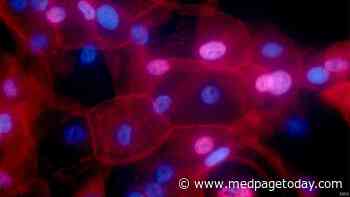 Molecular Changes Could Guide Metastatic Breast Cancer Therapy