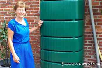 Nora Bertels verlaat gemeenteraad (Duffel) - Het Nieuwsblad