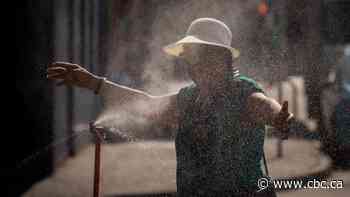 B.C. town sets another all-time temperature record as 'prolonged, dangerous' heat wave continues