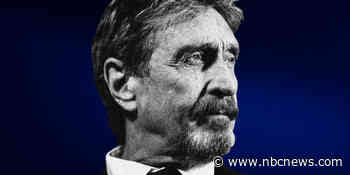John McAfee was once the face of cybersecurity. Then his life spiraled.