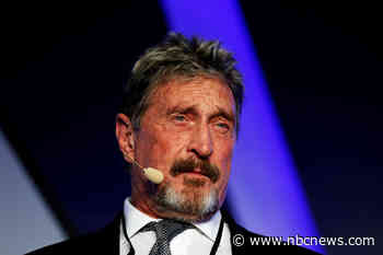 Spain High Court allows John McAfee's extradition to the U.S.