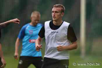 Lommel SK trapt voorbereiding op gang, Zweedse nieuwkomer present - Het Belang van Limburg
