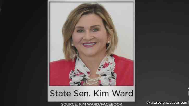 Senate Majority Leader Kim Ward Undergoes Double Mastectomy