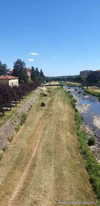 Taglio dell'erba. Il calendario dei lavori strada per strada - Il Cittadino Pescia